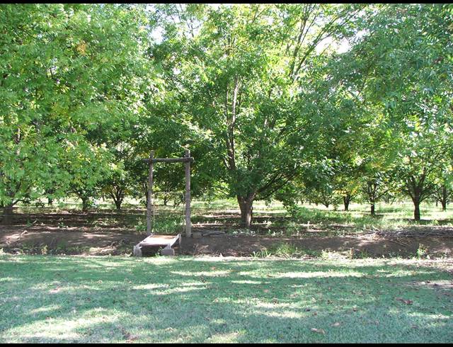 8HA FARM FOR SALE IN WEENEN